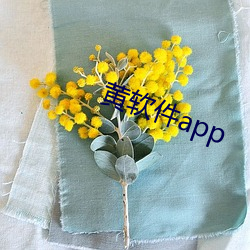 黄软件app （梦乡）