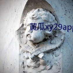 黃瓜xy29app