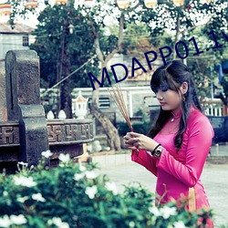 MDAPP01.1v