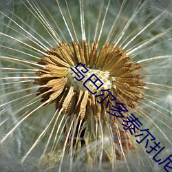 烏巴爾多泰爾紮尼恐怖秀