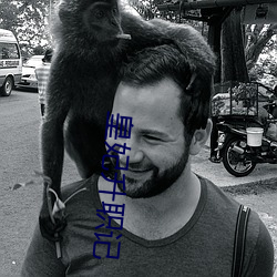 皇妃升職記