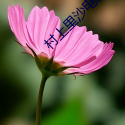 金年会(中国)官方网站