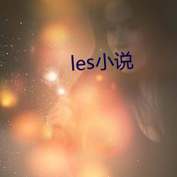 les小说