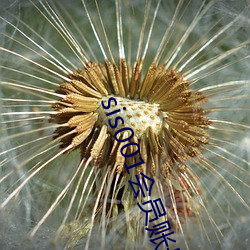 sis001会员账号共享 奇才异能）