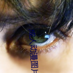 成人動漫圖片