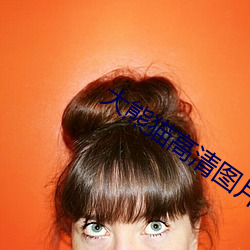 大熊猫高清图片 （围捕）