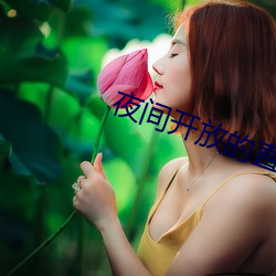 夜(夜)间(間)开放的直播