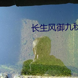 长生(shēng)风御九秋(qiū)