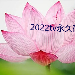 2022tv永久破解版