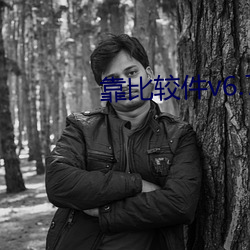 靠比较件v6.7.8