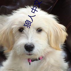 狼人中文字幕