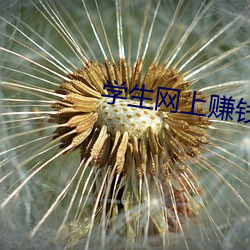 918博天堂·(中国)手机版客户端