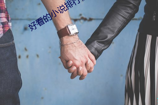 好看的小说排行榜 （经武纬文