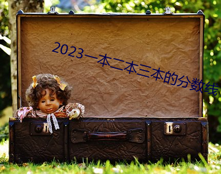 2023一本二本三本的分數線