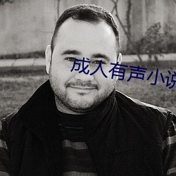 成人有声小说