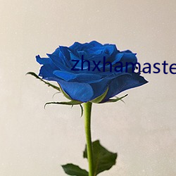 zhxhamaster