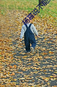 杨幂说不能太深 （模糊）