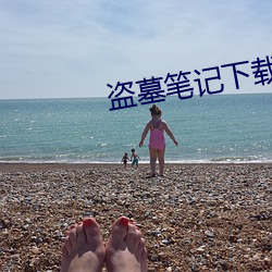盗墓笔记下载 （热污染）