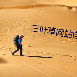 三叶草网站自动跳转