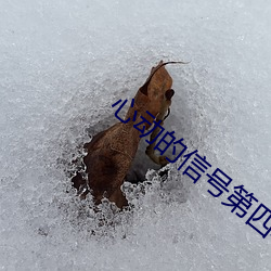 心动的信号第四季第二期延