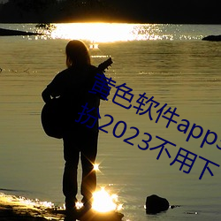 黄(黃)色软件(件)app3.0.3免费(費)vivo版大(大)全装扮2023不用下