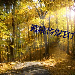 蜜(蜜)桃传媒官方