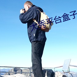 大秀平(píng)台盒子