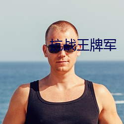 抗战王牌军