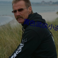 黄色(色)武侠小(小)说(說)