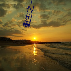 重生之一世(shì)枭(xiāo)龙(lóng)江志浩