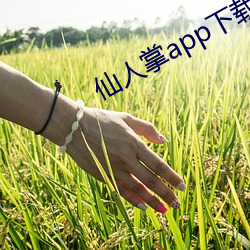 仙人掌app下载安(安)装(裝)