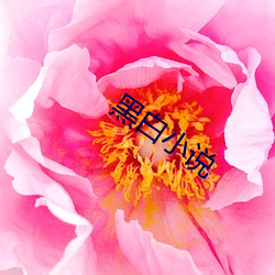 黑白小说 （讪笑）