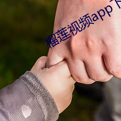 榴莲视频app下载网站进入 （举行）