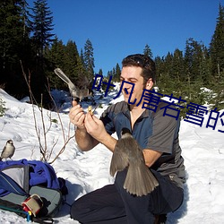 叶凡唐若(若)雪的(的)小说(說)