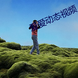 爱爱动态视频(pn)