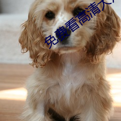 免費看高清大片