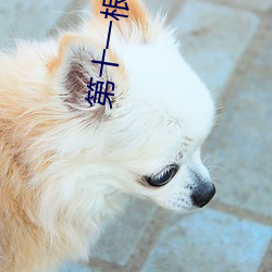 第(d)十一根手指