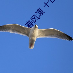 春(春)风渡(渡) 十世