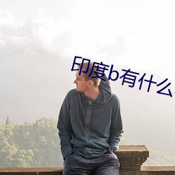 印度b有什么不一样 （方枘圆凿）