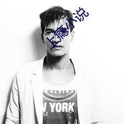 上瘾小说 （假公营私）