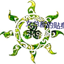 女總裁的貼身高手
