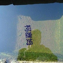 柯塞姆(mǔ)