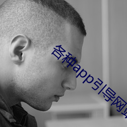 各種app引導網站