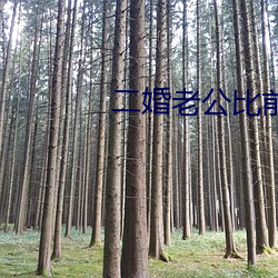 二婚老公比前夫猛 （遗簪坠舄）