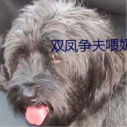尊龙凯时·(中国)官方网站