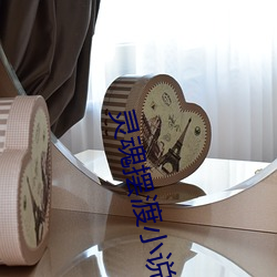 灵魂摆渡小说