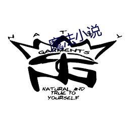 魔法小说