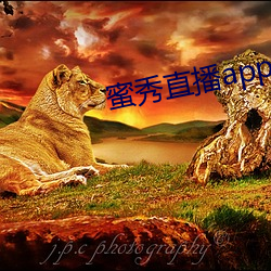 蜜(蜜)秀直播app下载(載)