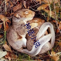 金年会(中国)官方网站