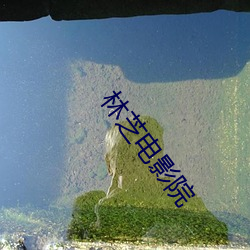 林芝电影院
